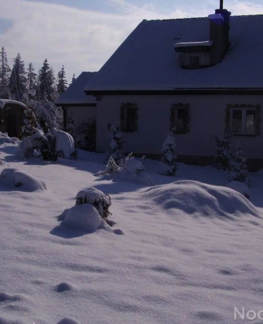 Ściborówka