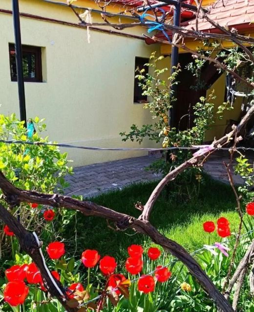 Casa Bunicilor Cisnădie