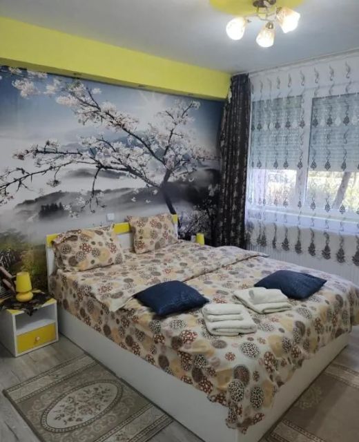 Apartament Family Rooms Hunedoara