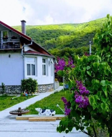 Vila di Pau Băile Herculane