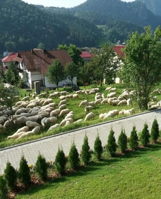 Pokoje u Celinki Szczawnica