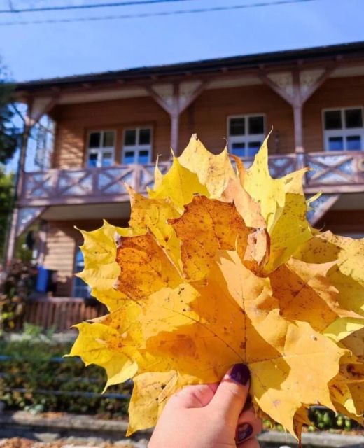 Nikifour, apartament nad deptakiem Krynica-Zdrój