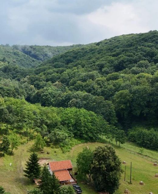 Tilia Pagony Vendégház Borsodnádasd