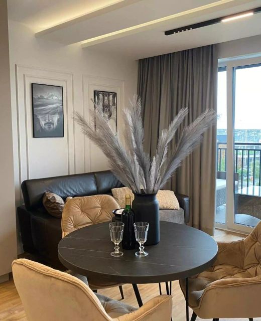 Family & Business Elegant Apartments Kadzielnia, ul Zgody, Stadion Korona, WDK Kielce