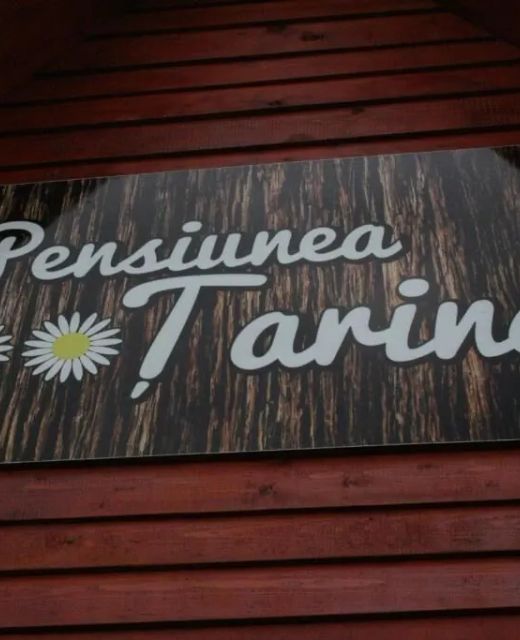  Pensiunea Țarina Șuncuiuș