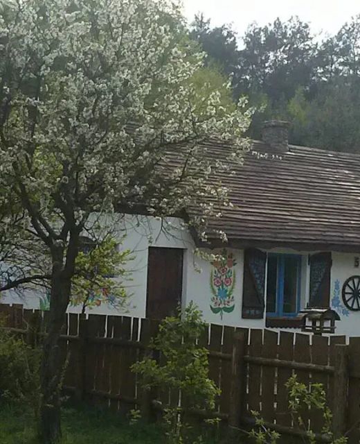 Zagroda Zalipie