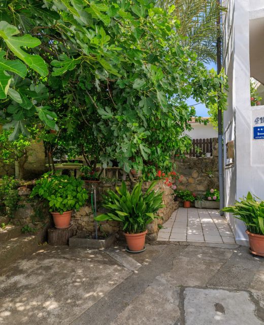 Apartments Jug Lopar