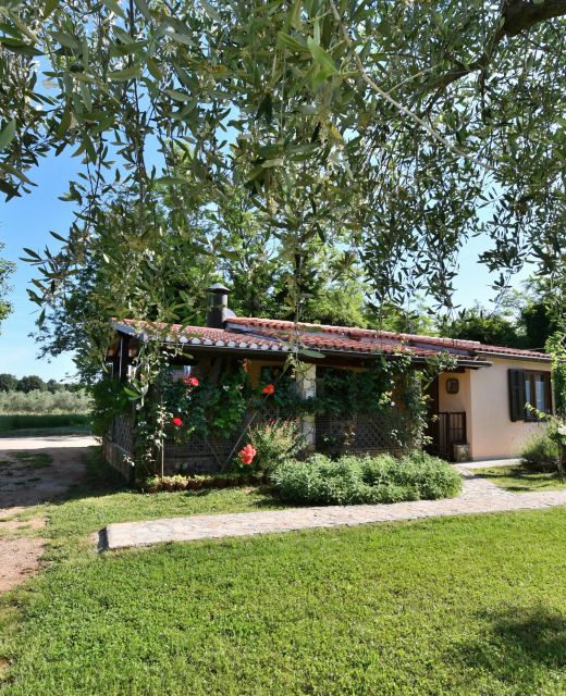 House Ariella Umag