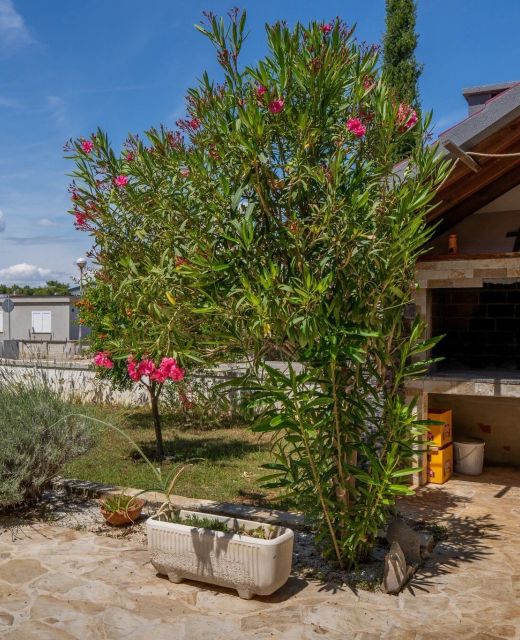 Apartment Horjan Vir