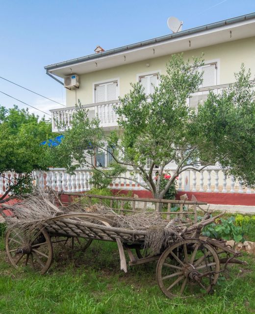 Apartment Basic Mario Vir II
