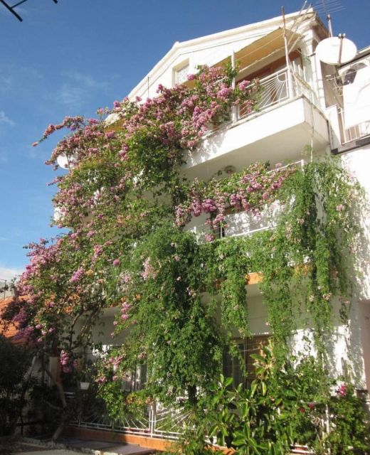 Apartment Graciela Gradac