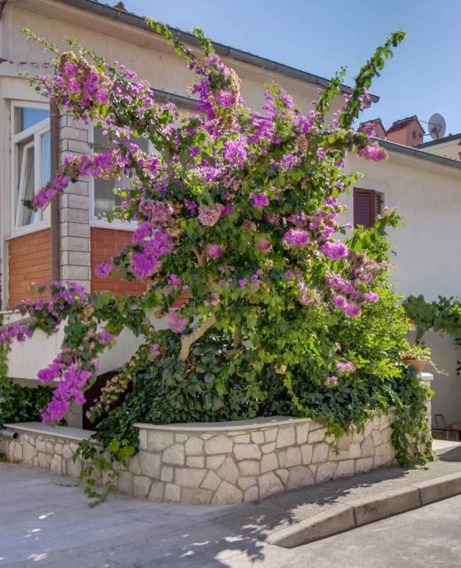 Apartments With Parking Space Mali Lošinj, Lošinj - 23418 Mali Lošinj