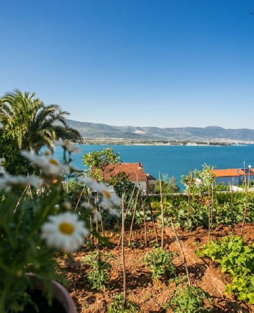 Apartment Marija Trogir