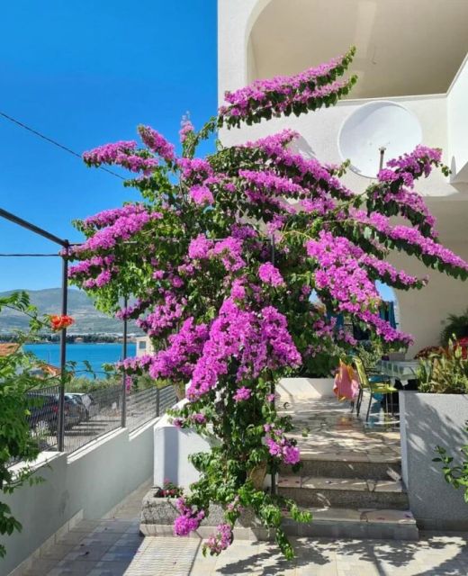 Apartment Lilac Arbanija