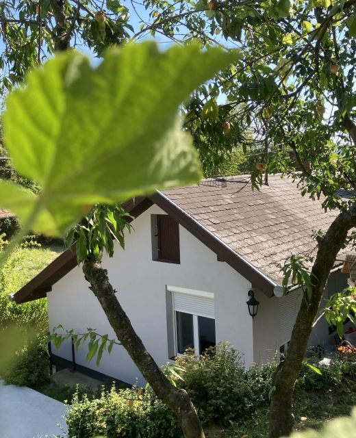 Borostyán Vendégház Zalaegerszeg