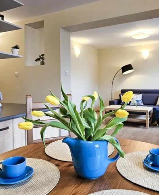 visit baltic- Apartament kapitański ZE05