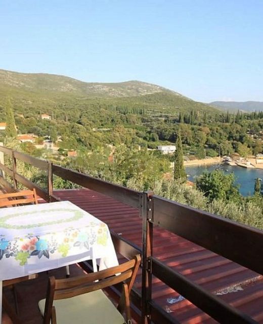 Apartment Iva Molunat