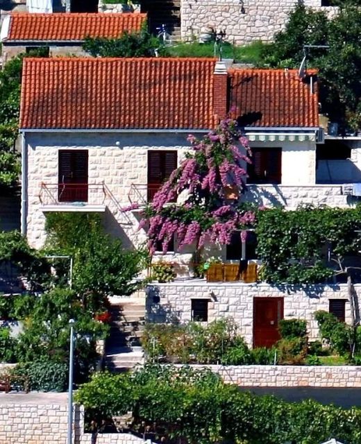 Apartments Nikola Postira