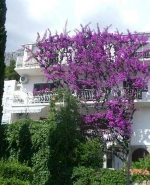 Apartments Josip II Baska Voda