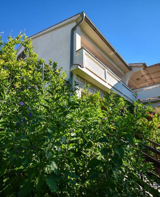 Apartments and Rooms Frane Palit