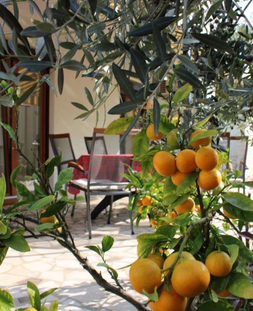 Apartman Paganor Pula