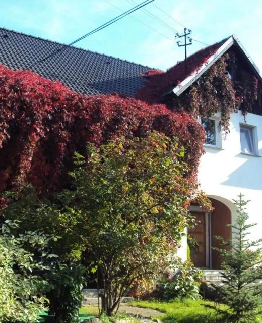 Apartamenty Stara Stajnia na Krańcu Świata