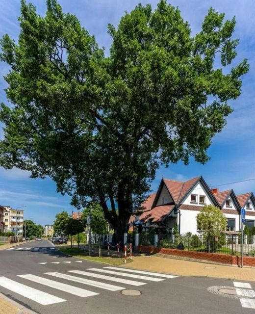 Złota Regalinda & Spa Międzyzdroje