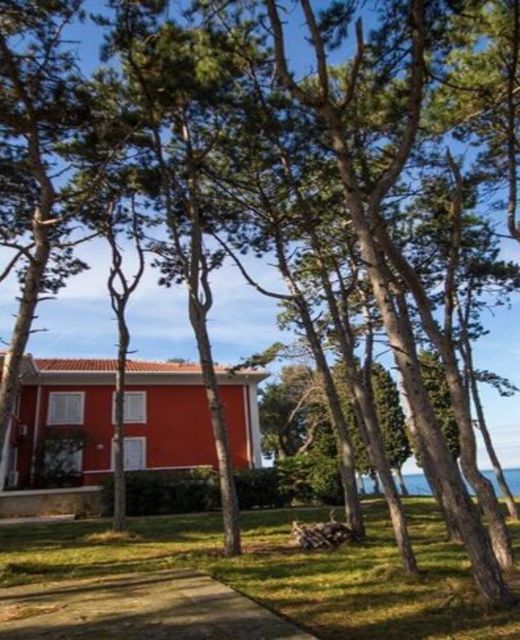 Apartman Valdepian Savudrija