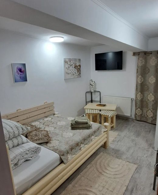 Alina's Apartament Sinaia