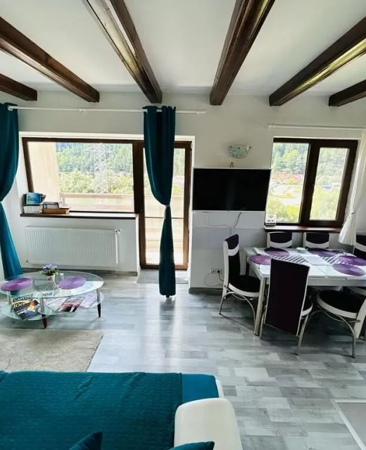 Panoramic View Apartment Buşteni
