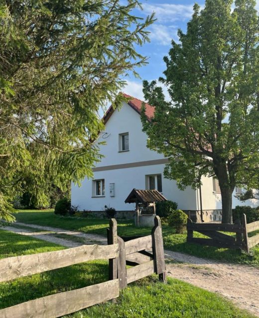 Między lasem a jeziorem Czarnówka