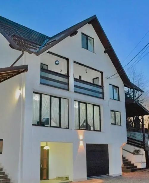 Vila Vio Borșa