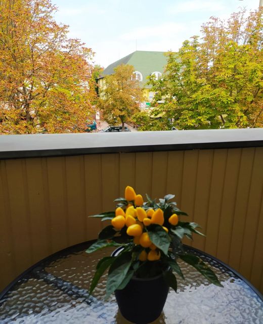 Chili Apartman Harkány