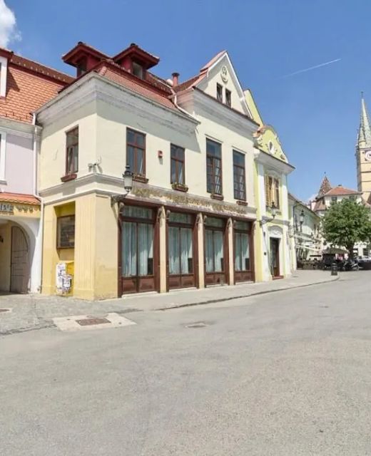 Hotel Traube Mediaș