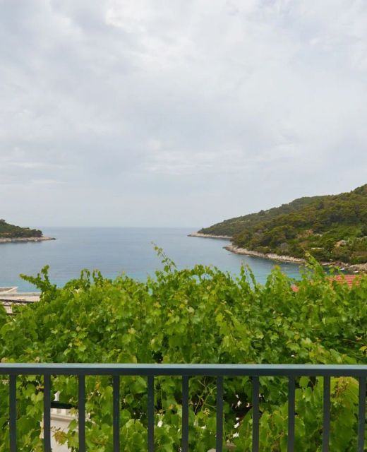 Apartments Jany Saplunara