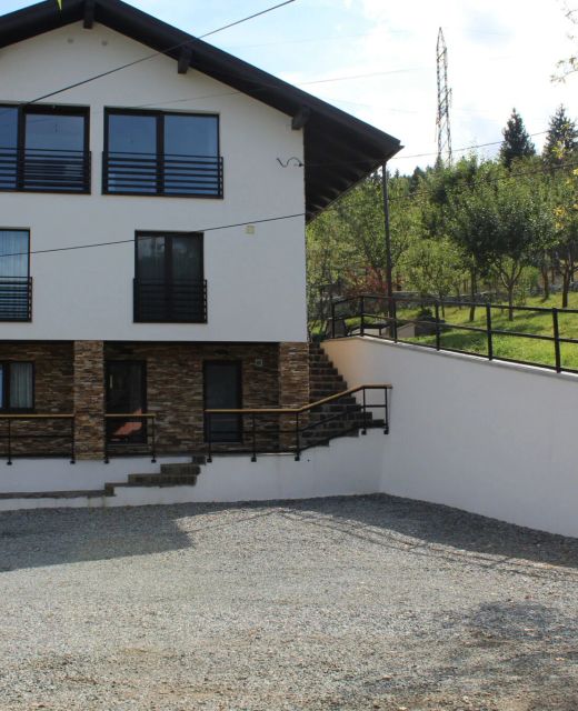 Green Garden Apartments Borșa