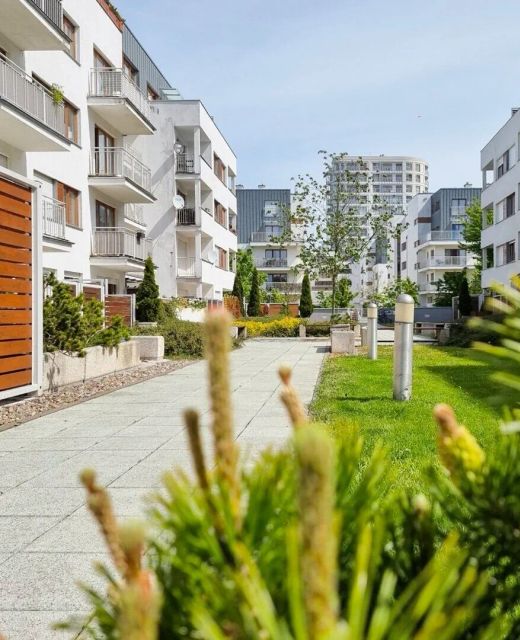visit baltic - Platan Family CH12