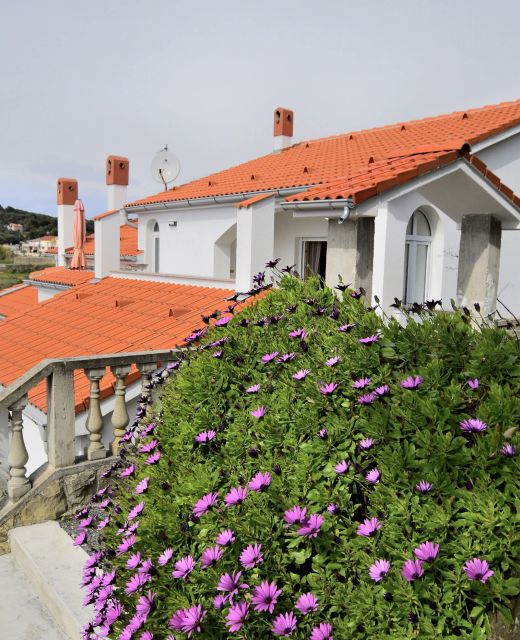 Apartment Vidas Palit