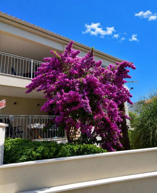 Apartments Mateo Primosten
