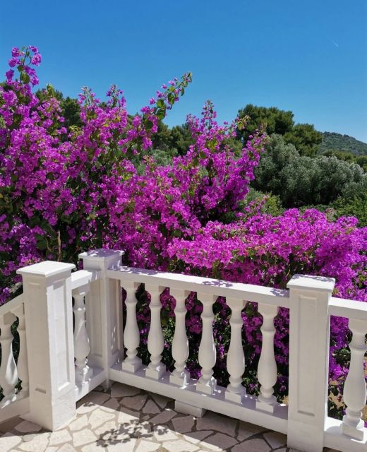 Apartment Vanja Mali Losinj