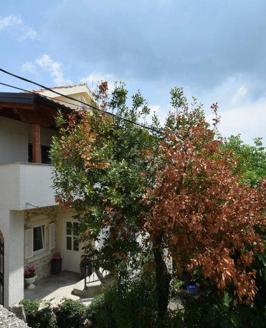 Apartment Neven Čižići