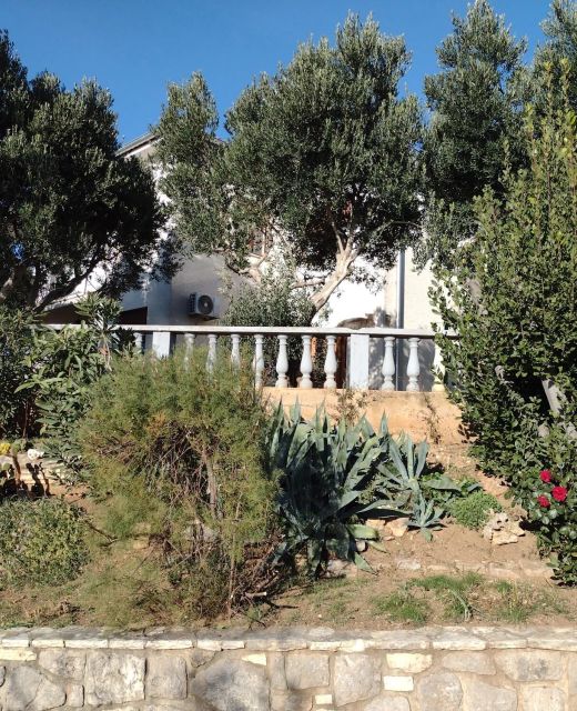 Apartment Anchi Povile