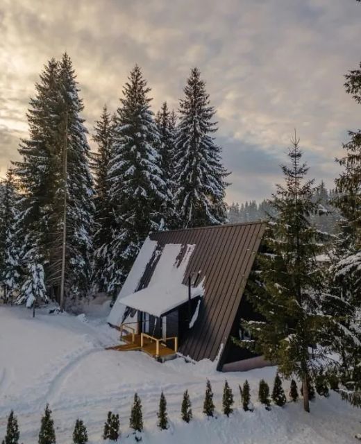 Black Raven Cabin Toplița