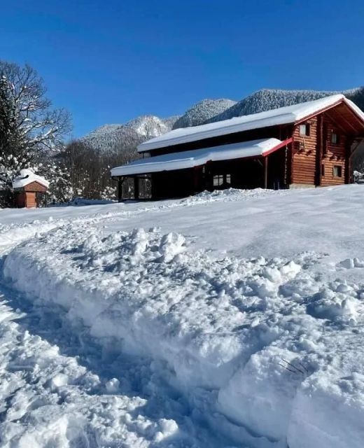 Cabana Ursu' Zburător Râșnov