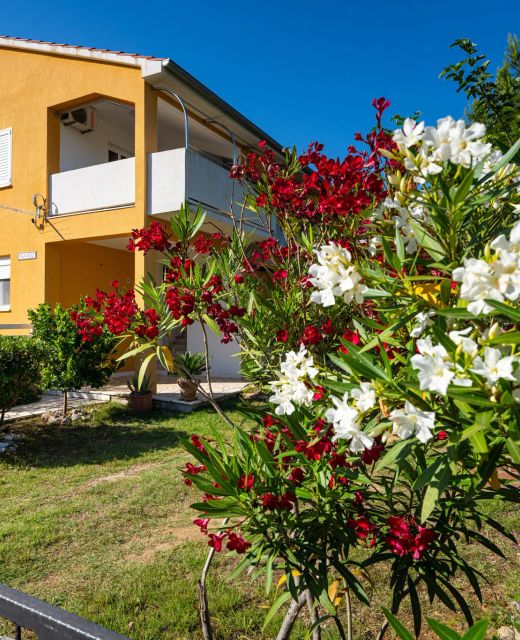 Apartments Agava Seline