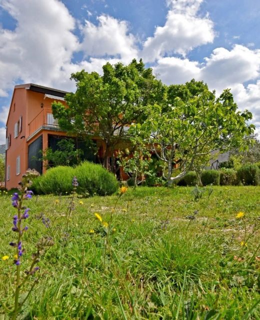Apartments Mari Seline
