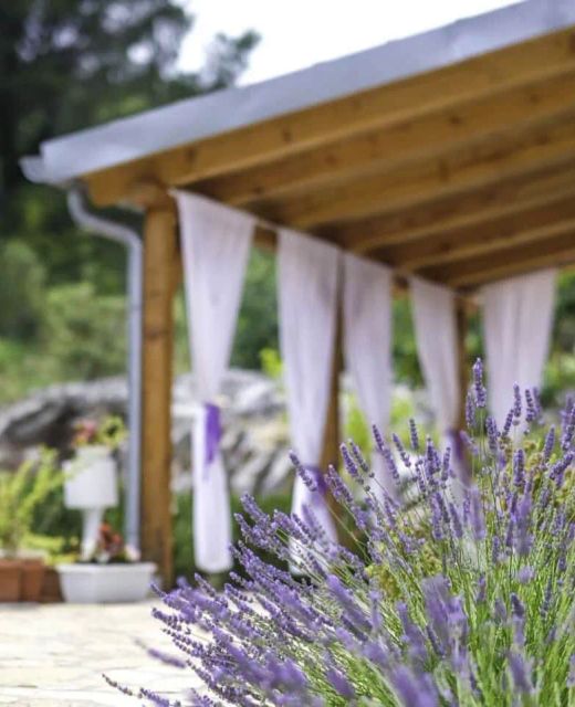 House Marie's Lavander Dream Raslina