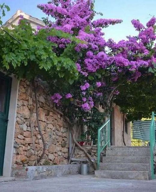Apartments With Parking Space Murvica Brač - 23462