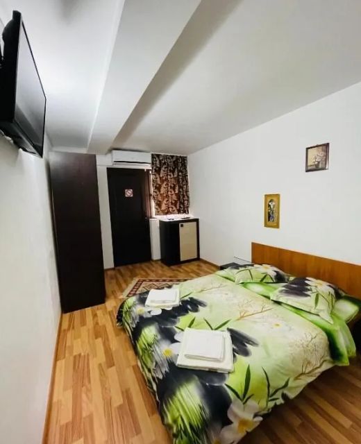 Casa Camelia Dubova