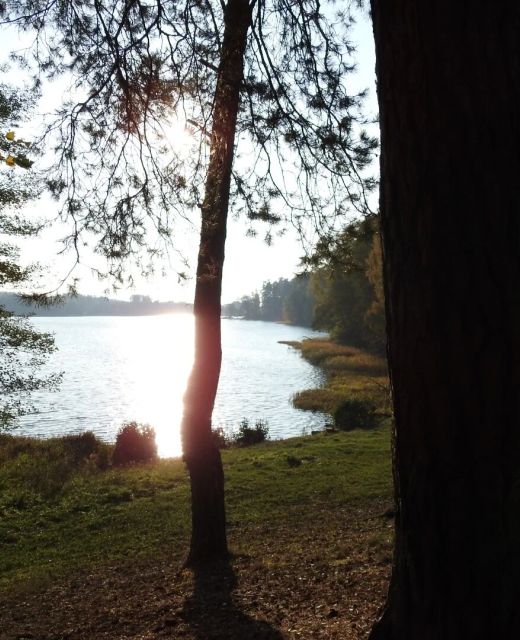 Domki na Chabrowej Augustów